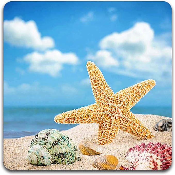 Beach Shells Square Coaster Set - Image 2