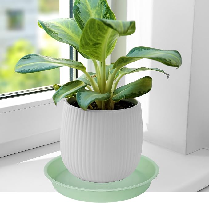 2 Pack of 8 inch Plant Saucer Clear, Heavy Duty Plastic Plant Water Tray 8 inch - Image 4