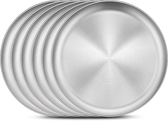Homikit 6 Pack Stainless Steel Plate Set, 10.2 Inch Metal Dinner Plates by Homikit