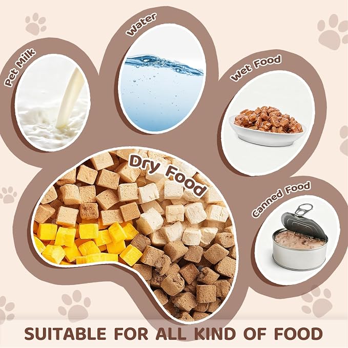 YINEYA 6 Pack Cat Food Bowls, Anti Whisker Fatigue Ceramic Cats Dishes Set - Image 3