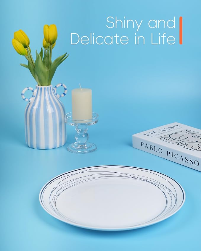 10.5 Inch Dinner Plate Set of 6 - Image 6