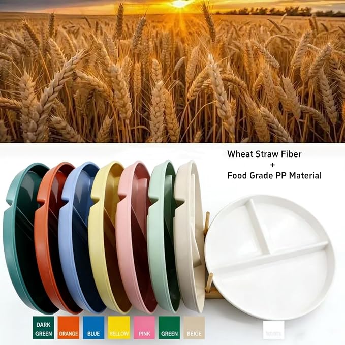 9-Inch Large Multicolor Wheat Straw Divided Plates – Unbreakable 3-Compartment - Image 2
