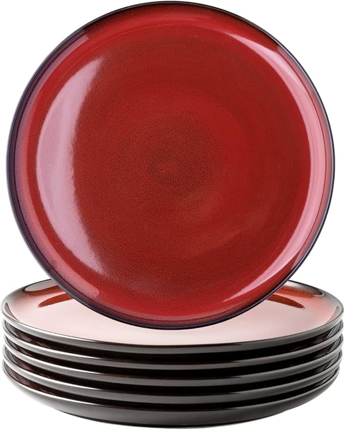 LERATIO Ceramic Dinner Plates Set of 4, 10.5 Inch Reactive Glaze Plate Sets | by LeRatio