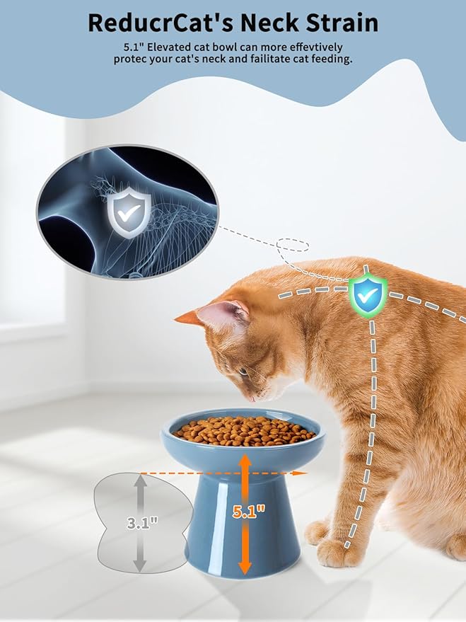 LoeJan Elevated Cat Food and Water Bowls Set, Extra Wide and Raised Ceramic - Image 3
