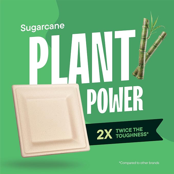 100% Compostable Square Paper Plates - Image 5
