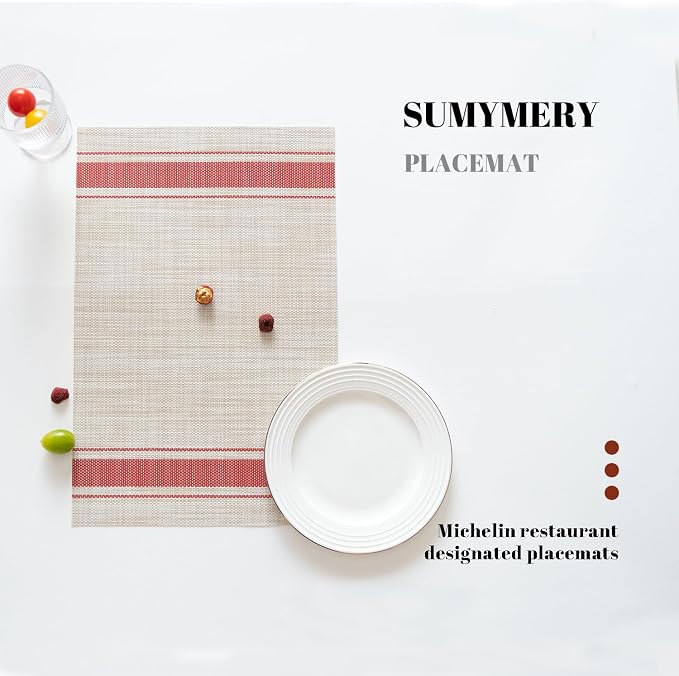 Placemats Set of 8 Vinyl/Plastic Woven Place Mats - Image 5