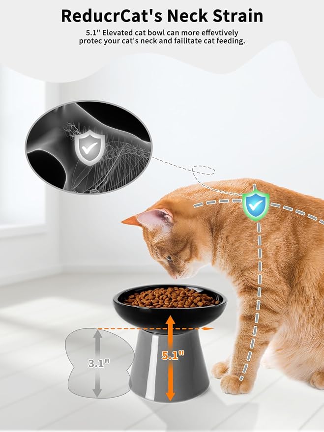 LoeJan Elevated Cat Food and Water Bowls Set, Extra Wide and Raised Ceramic - Image 4