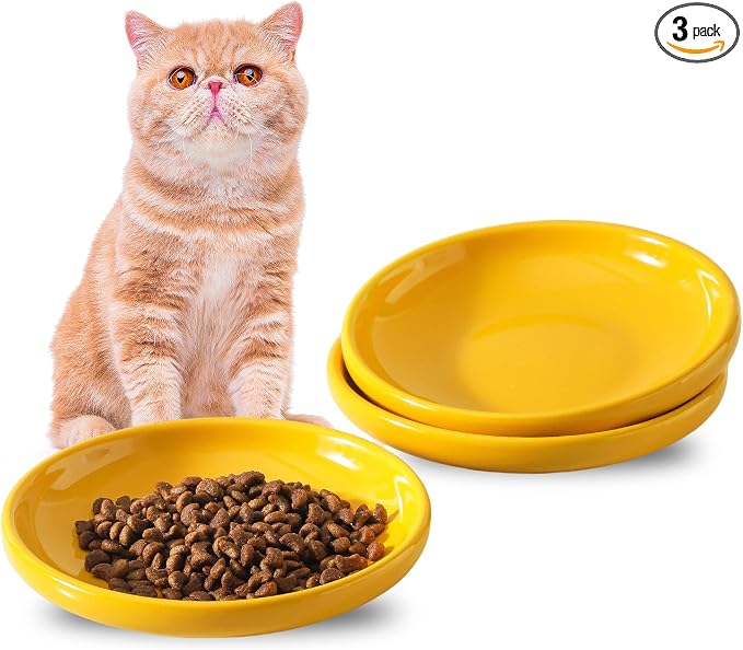 3 PCS Ceramic Cat Bowls, 5.5 in Pet Food Bowl Cat Dishes by Howise
