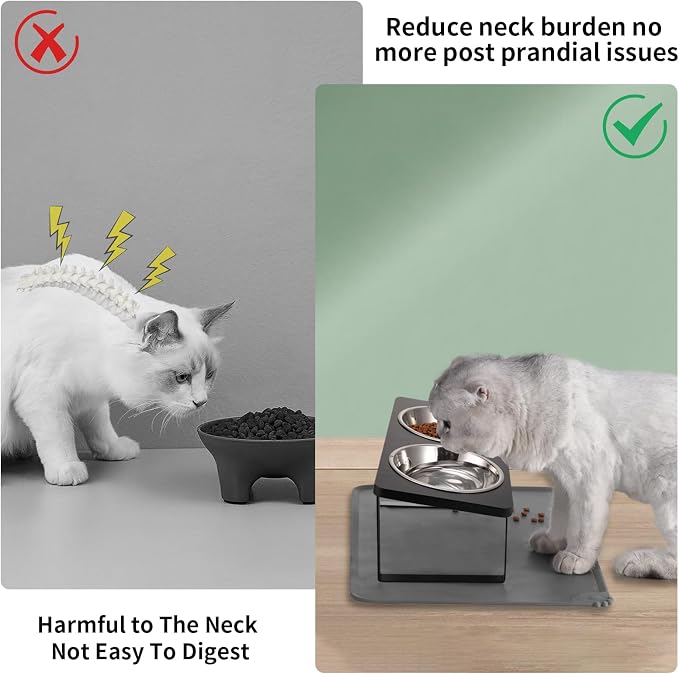 Summark 2Pack Elevated Cat Bowls - Image 2