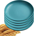 5Pcs Dinner Plates Wheats Straw Plates Set Unbreakable Reusable, Lightweight by Unknown