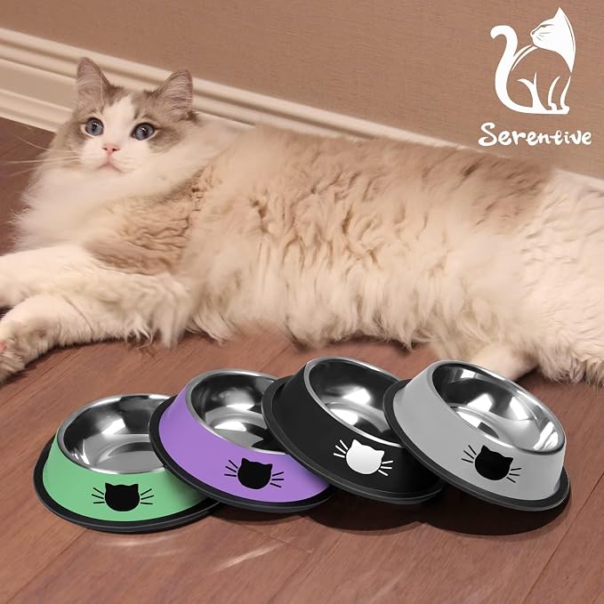 Serentive 2 Pcs Non-Slip Stainless Steel Small Cat Food Bowls - Image 7