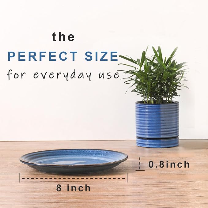 HASENSE Dessert Plates Set of 4, 8 Inch Porcelain Salad Dinner Plates Set - Image 3