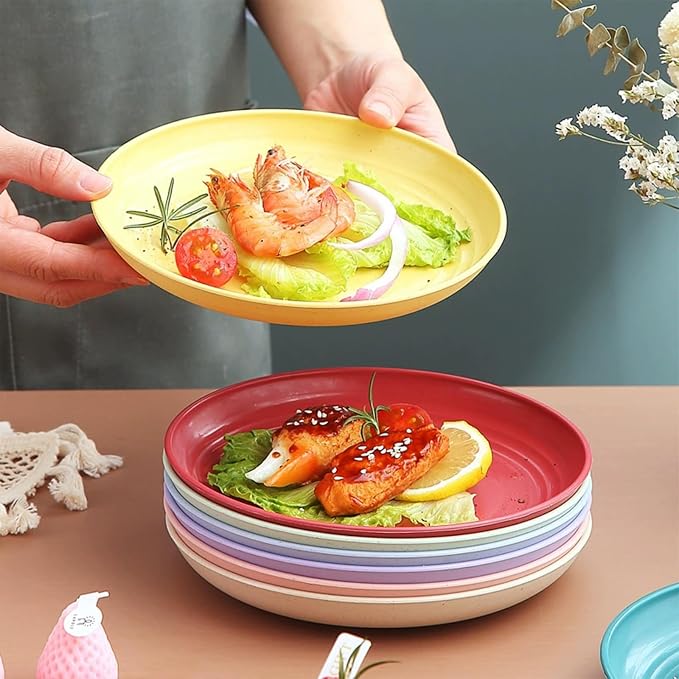 5Pcs Dinner Plates Wheats Straw Plates Set Unbreakable Reusable, Lightweight - Image 2