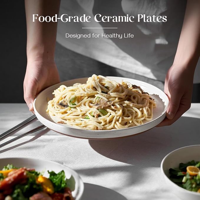 DOWAN 10.5" Large Dinner Plates Set of 6, High Edge Ceramic Plate - Image 4