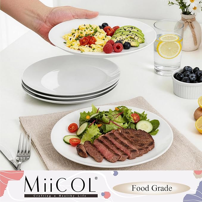 Miicol Ceramic Dinner Plates Set of 6, Modern Round Porcelain Dishes - Image 7