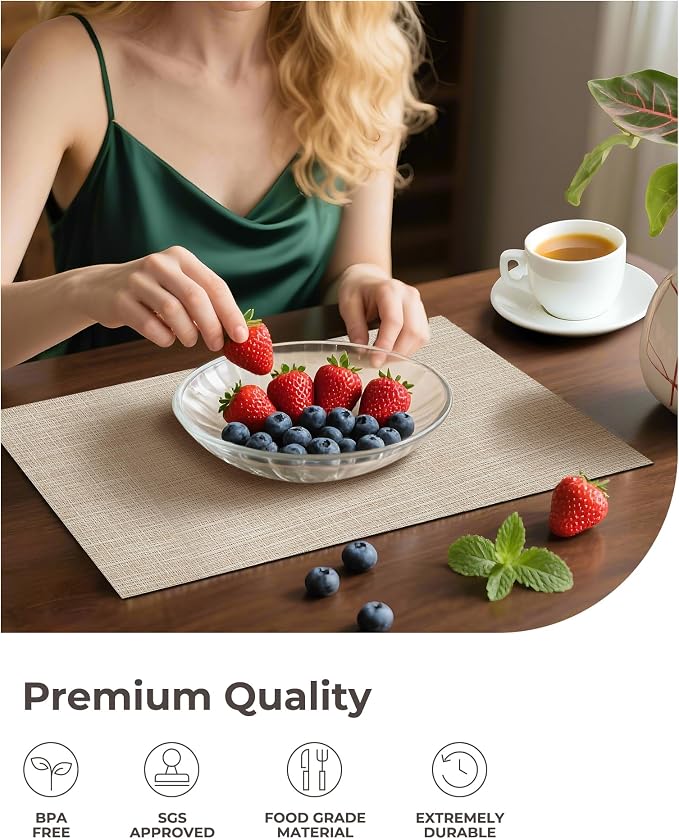 Leetaltree Beige Placemats Set of 12 - Image 6