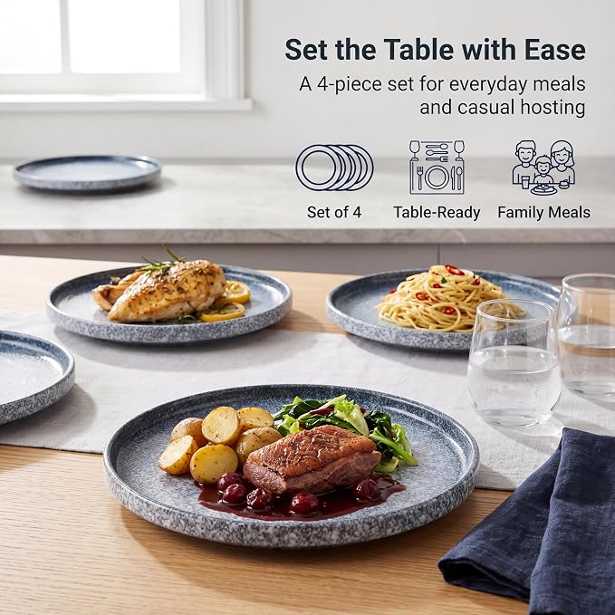 10.5" Ceramic Dinner Plates Set of 4, Stoneware Plates - Image 4