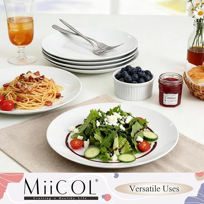 Miicol Ceramic Dinner Plates Set of 6, Modern Round Porcelain Dishes - Image 8
