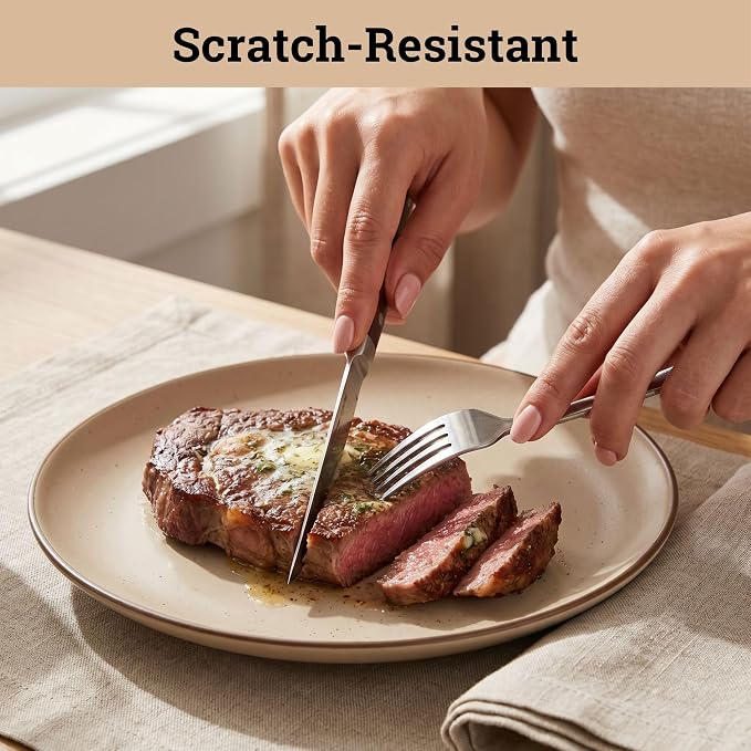 Ceramic Dinner Plates Set of 6, 10.25 Inch, 6 Beautiful Colors | Safe - Image 4