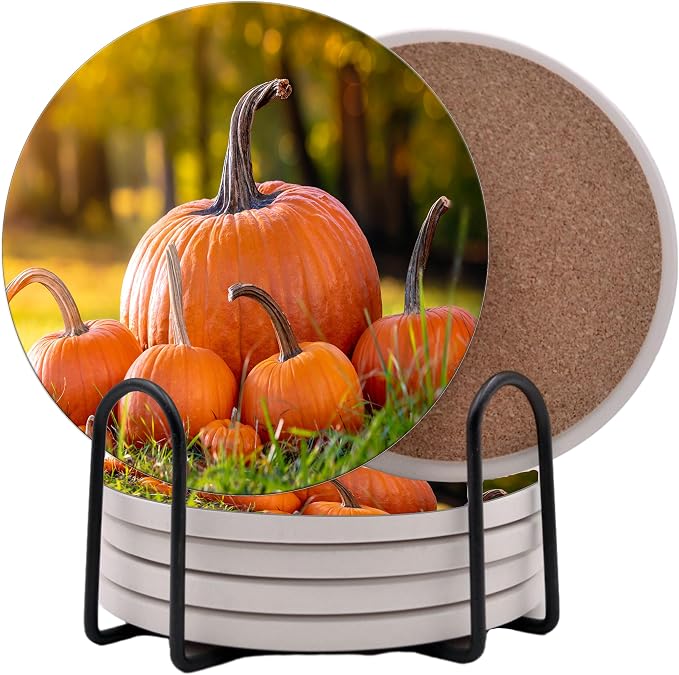 Fall Season Leaves Round Coasters Set of 6 by Unknown
