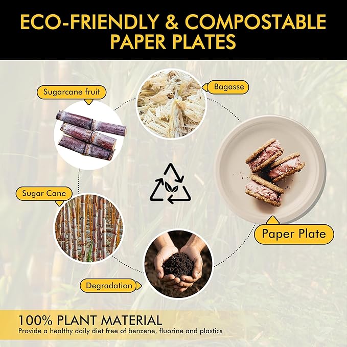Compostable Paper Plates 10 Inch | Unbleached Brown, Disposable Biodegradable - Image 4