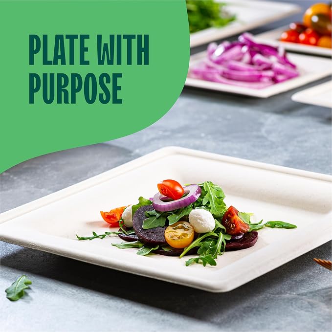 100% Compostable Square Paper Plates - Image 3