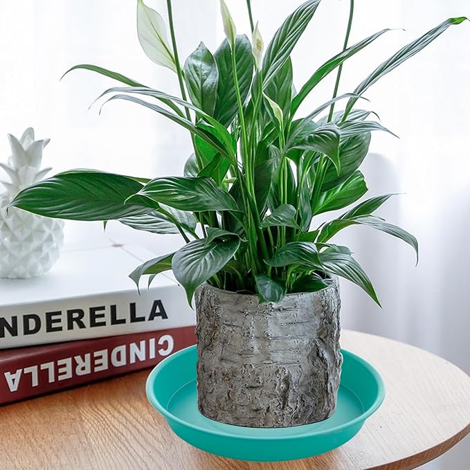 2 Pack of 10 inch Plant Saucer Gray, Heavy Duty Plastic Plant Saucer 10 inch - Image 3
