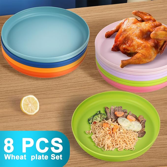 Unbreakable Dinner Plates Set of 8 - Image 8