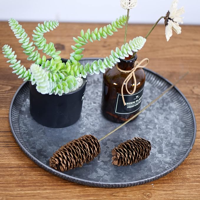 Funerom Round Galvanized Metal Tray Decorative Tray Corrugated Edges - Image 2