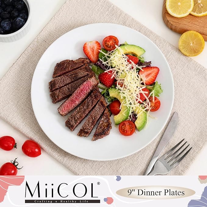 Miicol Ceramic Dinner Plates Set of 6, Modern Round Porcelain Dishes - Image 2
