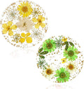 Amabro Dried Flower Drink Coasters, Floral Resin Drink Cup Mat Set of 2 by Amabro