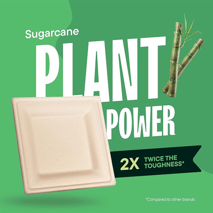 100% Compostable Square Paper Plates - Image 5