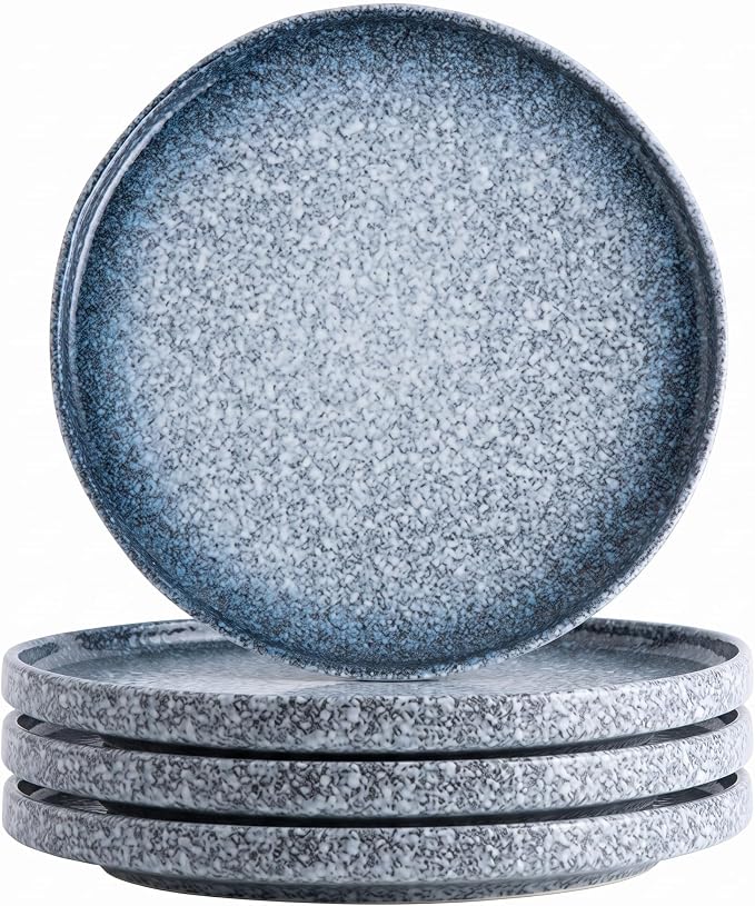 10.5" Ceramic Dinner Plates Set of 4, Stoneware Plates by Gnlnkn