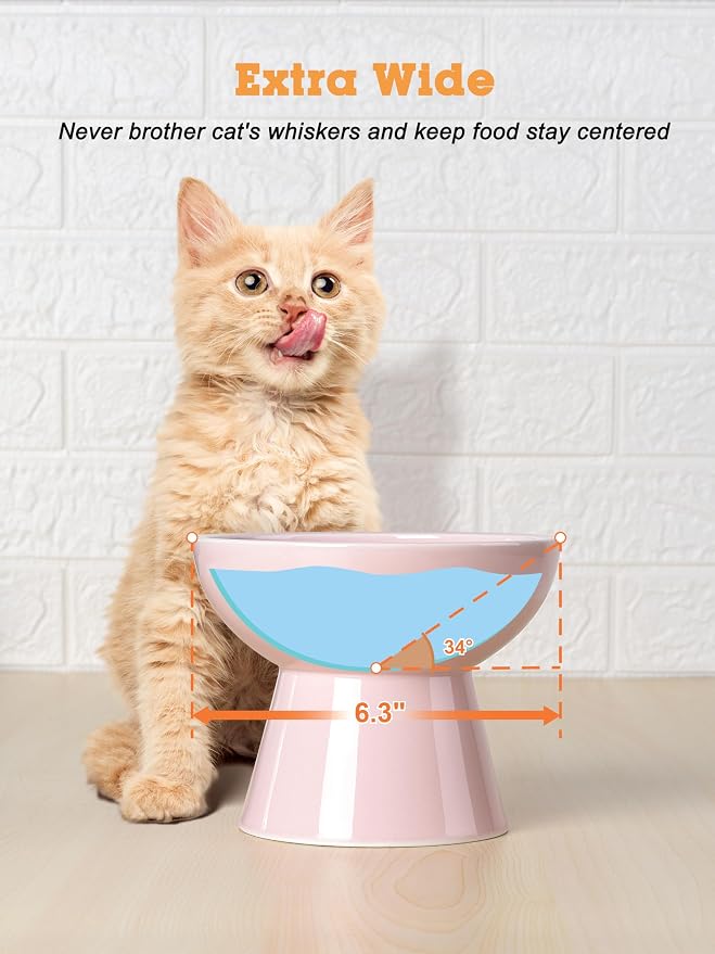 LoeJan Elevated Cat Food and Water Bowls Set - Image 5