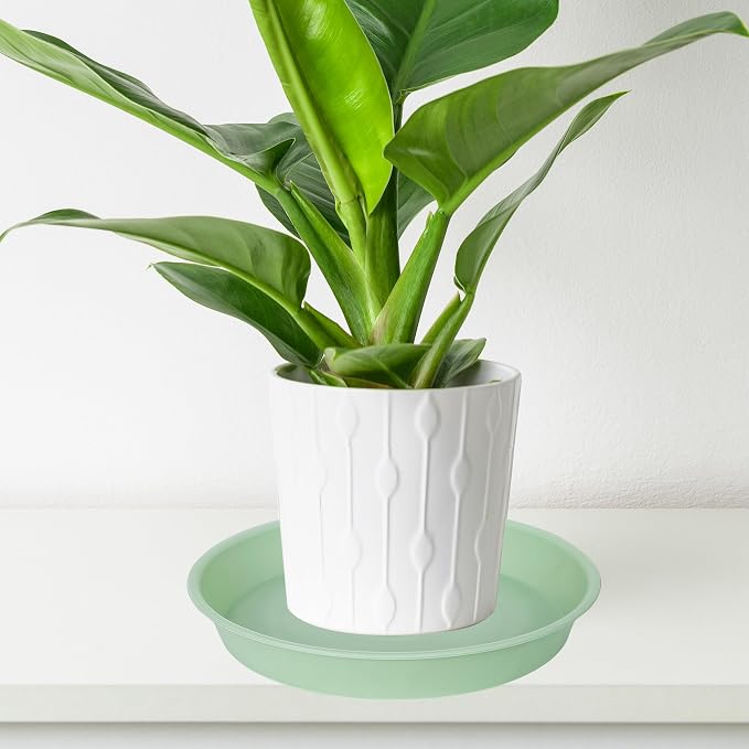 2 Pack of 8 inch Plant Saucer Clear, Heavy Duty Plastic Plant Water Tray 8 inch - Image 5