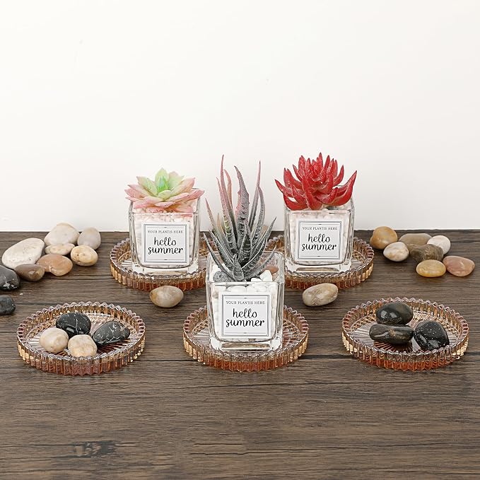 JUXYES Set of 5 Heat-Resistant Clear Glass Coaster - Image 8