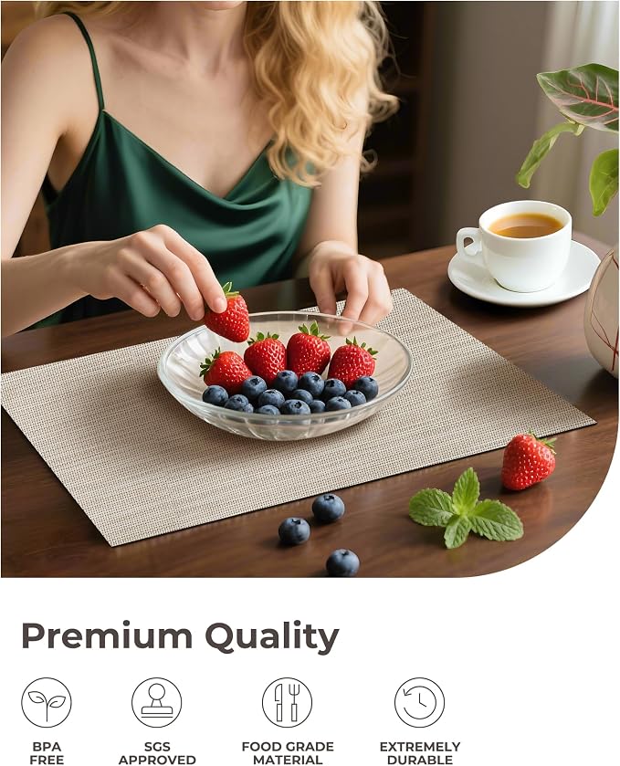 Leetaltree Beige White Placemats Set of 12 - Image 6