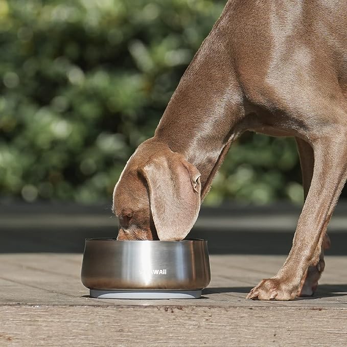 Pawaii Dog Bowl, 34 oz Stainless Steel Food and Water Bowl, ID Tag, 1 Pack | - Image 9