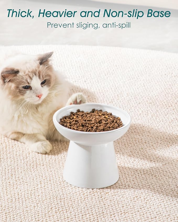 vancasso Extra Wide Elevated Cat Bowls 2-Pack, Shallow Ceramic Raised Cat Food - Image 6