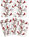Winter Cardinal Christmas Placemats Set of 4 by Unknown