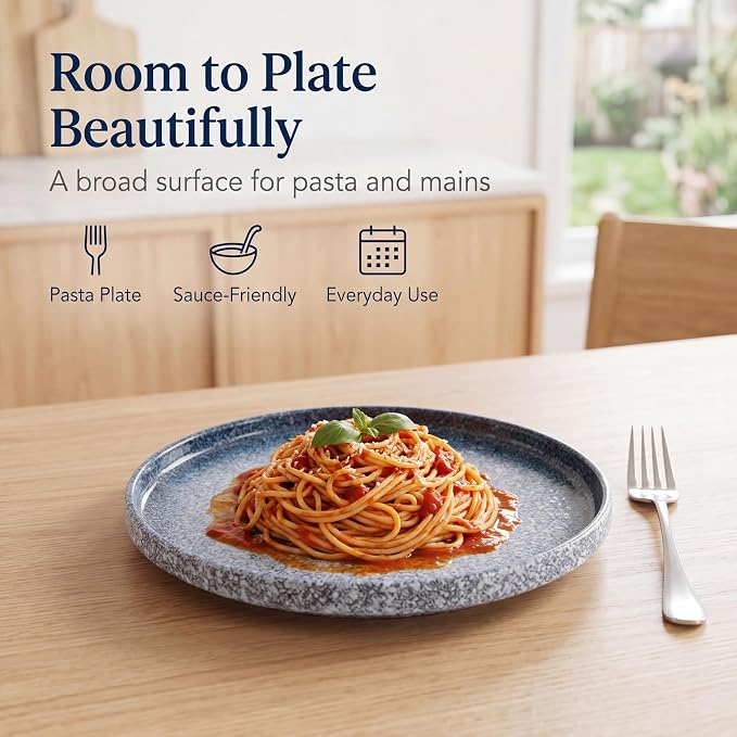 10.5" Ceramic Dinner Plates Set of 4, Stoneware Plates - Image 5