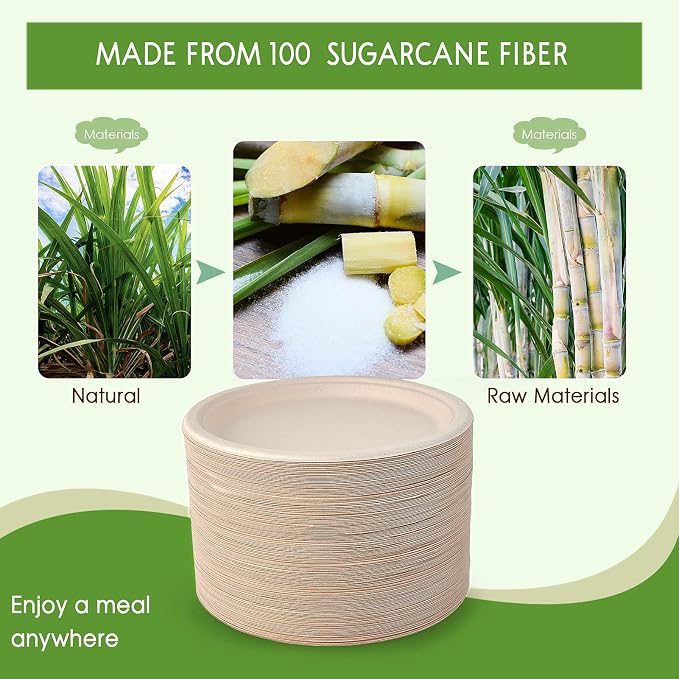 Vplus 500 Pack Compostable Bagasse Paper Plates 10.25 inch, Nature | Super - Image 5