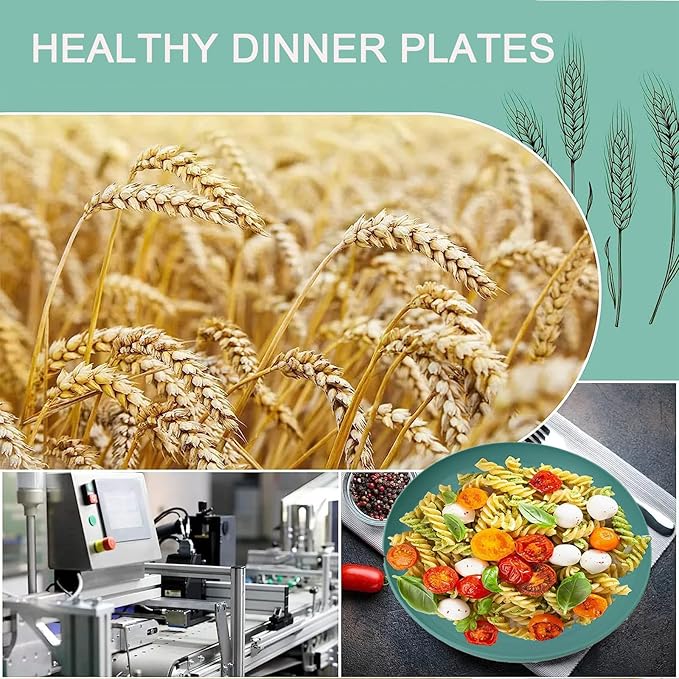 5Pcs Dinner Plates Wheats Straw Plates Set Unbreakable Reusable, Lightweight - Image 5