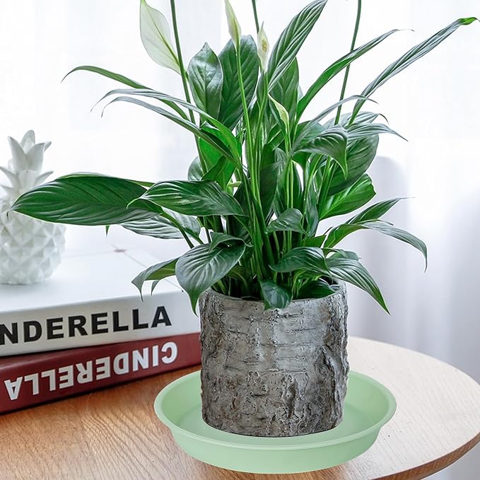 2 Pack of 8 inch Plant Saucer Clear, Heavy Duty Plastic Plant Water Tray 8 inch - Image 3
