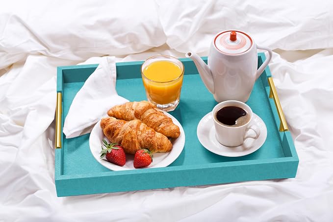ATZYmolin 17"x12" Leather Serving Tray, Polished Metal Handles, Coffee Table - Image 7