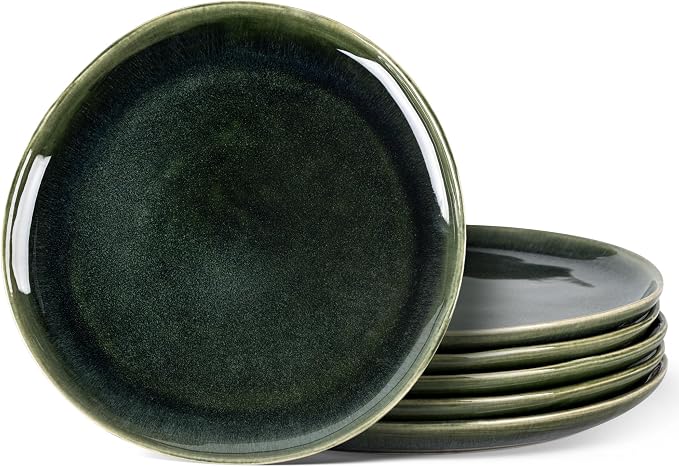AmorArc Ceramic Dinner Plates Set of 6, 10.5 Inch Stoneware Plates Set | by AmorArc