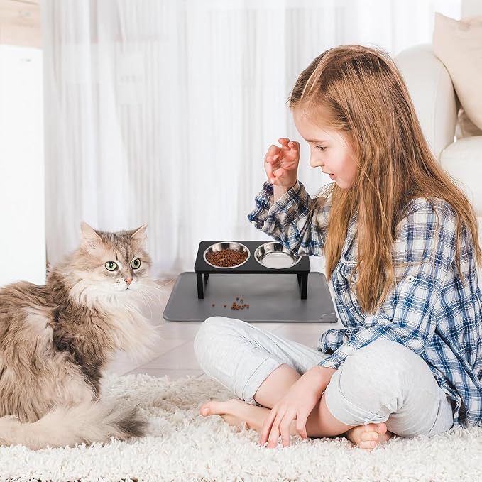 Summark 2Pack Elevated Cat Bowls - Image 6