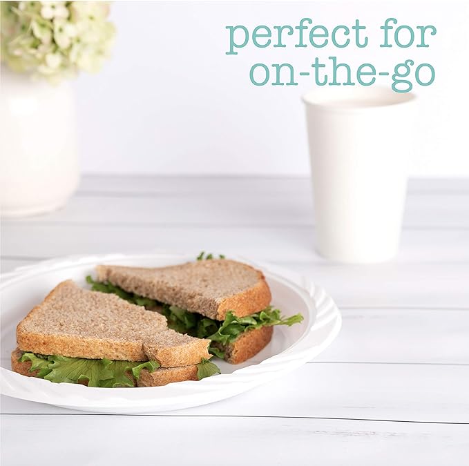 100 Count Disposable 9 Inch White Plastic Dinner Plates large - Image 5