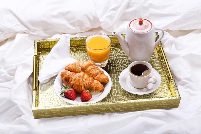 ATZYmolin 17"x12" Leather Serving Tray, Polished Metal Handles, Coffee Table - Image 7