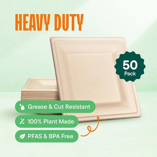 100% Compostable Square Paper Plates - Image 2